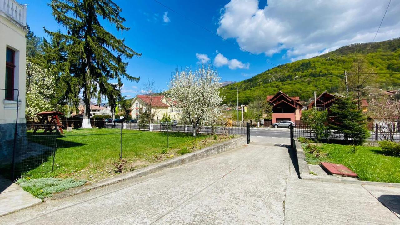 Vila Themis Hotel Calimanesti Exterior photo