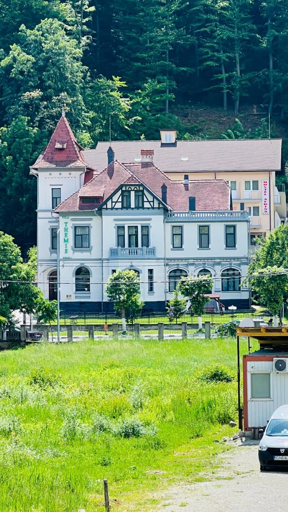 Vila Themis Hotel Calimanesti Exterior photo